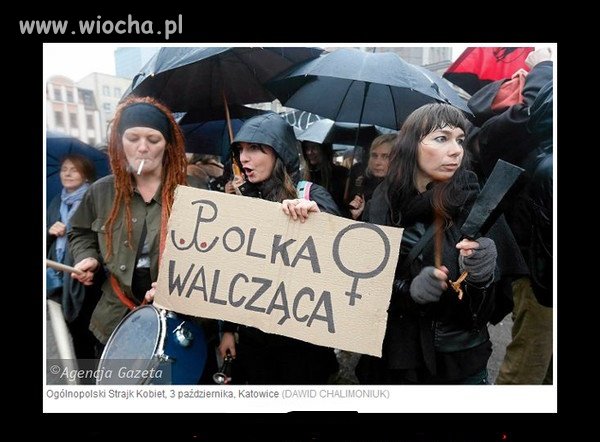 Profanacja symbolu Polski Walczącej to przesada.