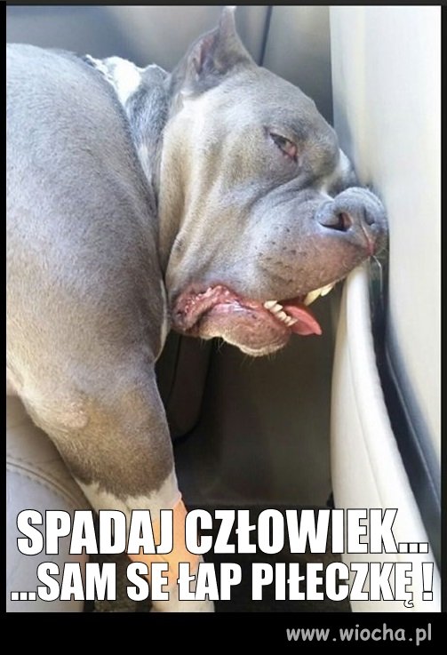 Sie nic nie chce...