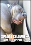 Sie nic nie chce...