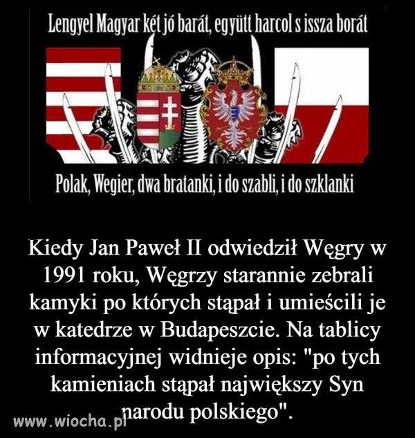 I to są nasi prawdziwi bracia! 