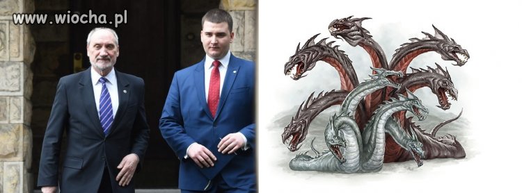 Misiewicz hydra MONu