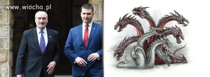 Misiewicz hydra MONu