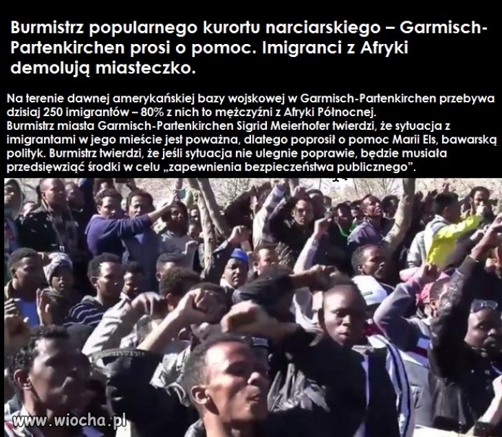 Dzicz wszystko zdemoluje, nawet kurort