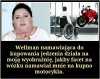 Pani Wellman jako autorytet