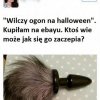 Wilczy ogon.