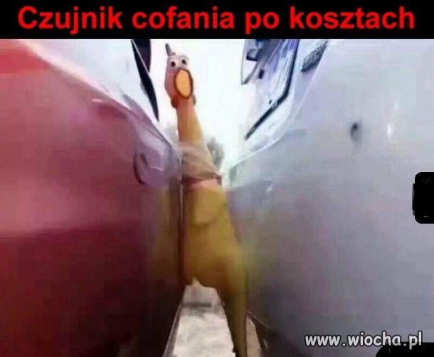 Czujnik cofania