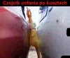 Czujnik cofania