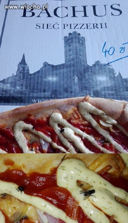Pizza z Bachusa