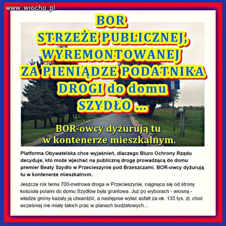 Pilnują asfaltu.