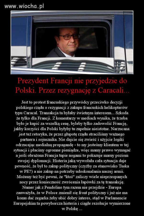 Obrazili się tchórze i wrażliwy Holland kiedyś