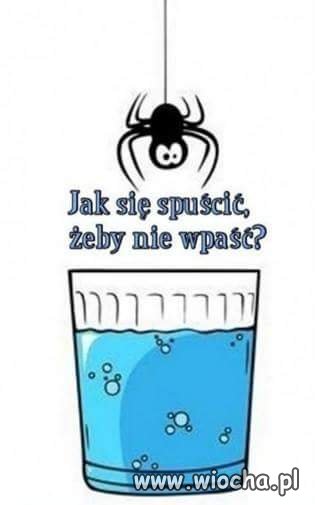 Takie mamy czasy