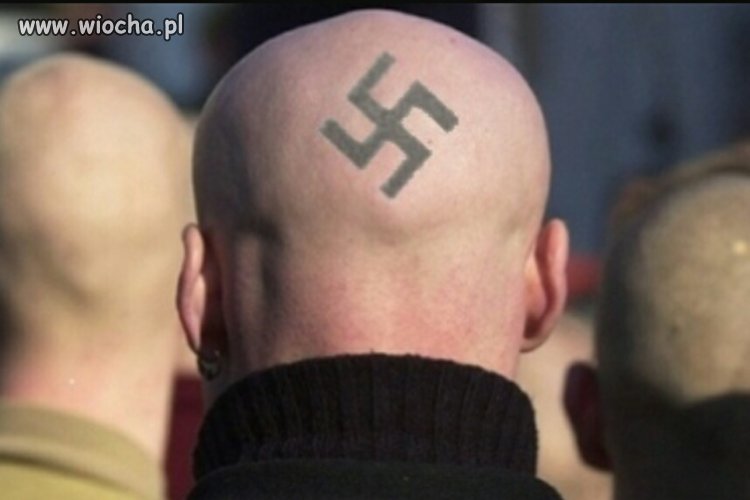 Młynek na łbie więc sieczka w środku.