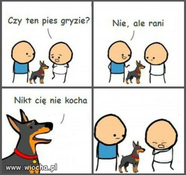 Ten pies nie gryzie