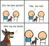 Ten pies nie gryzie