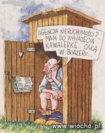 Kawalerka do wynajęcia.