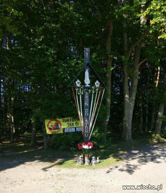 XXI wiek
