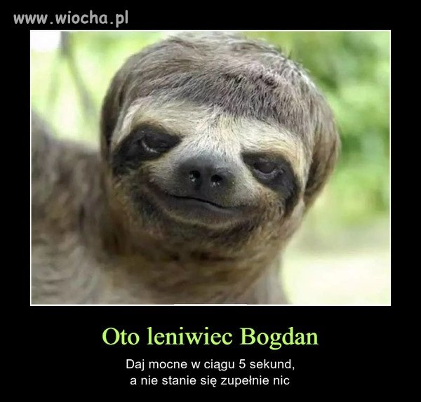 Szukaliście  Bodana a on tu jest