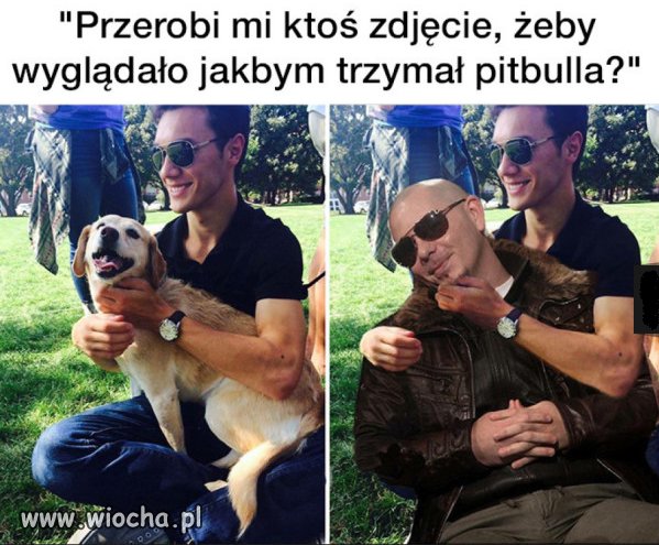 Pitbull.