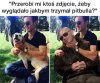 Pitbull.