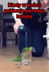 Polewają