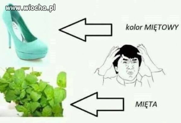 Kolor miętowy.