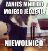 Koty takie są