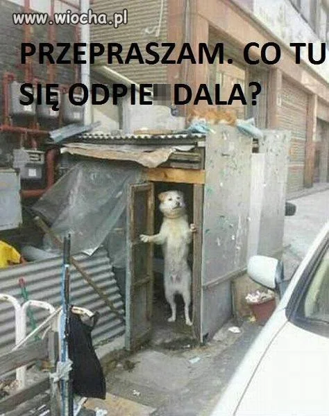 Monotematyka polityczna na wiosce.