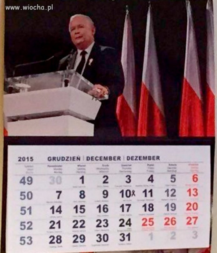 Pis powinien wprowadzić każdego 10 dzień 
