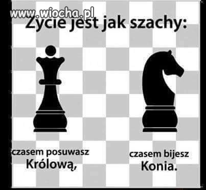 życie