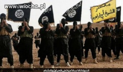 Islamscy terroryści... nie znają Koranu