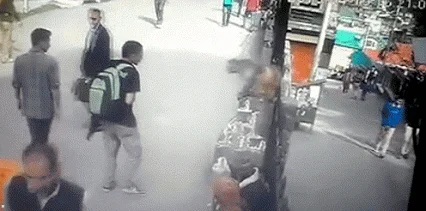 Krewki Pawian. Zna ten gest.