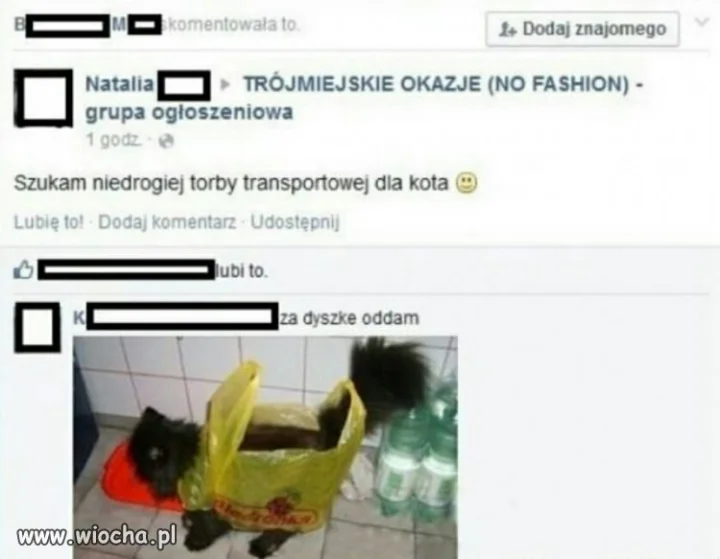 Taka oferta..