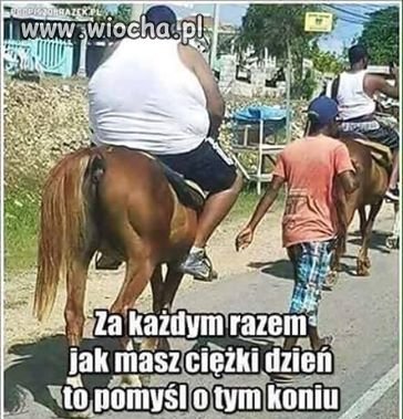 Biedny konik, bardziej słoń by pasował.