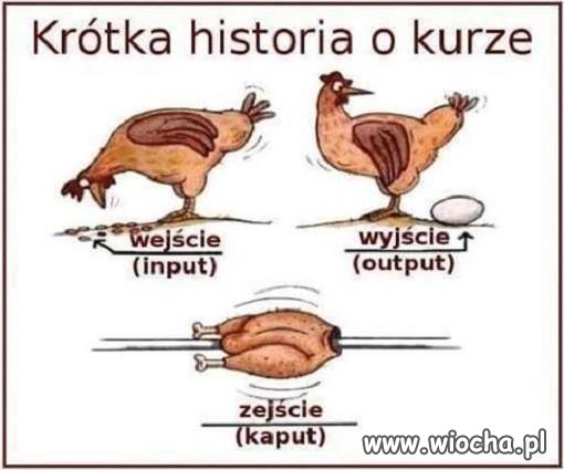 Krótka historia