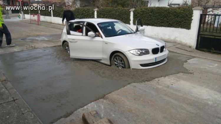 BMW. Brak Mózgu Widać