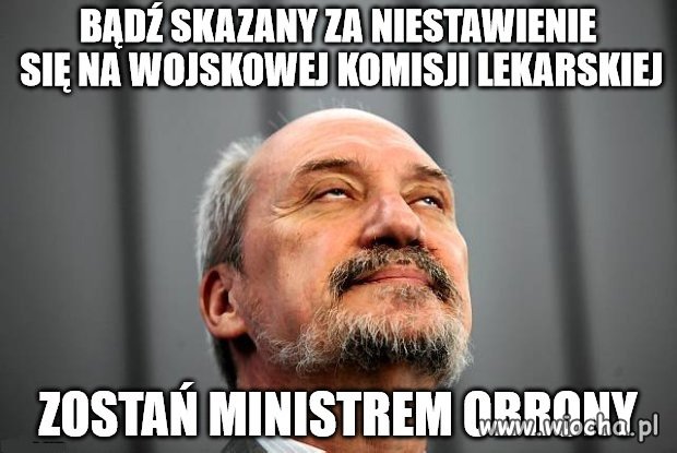 To naprawdę wiele tłumaczy