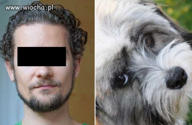 Sąsiadka przyłapała zwyrodnialca na gwałceniu psa.
