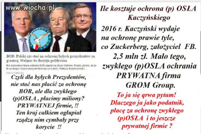 Dopóki pis będzie rządził
