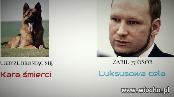 Taka logika.