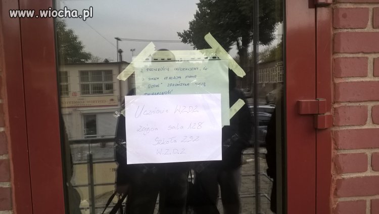 Oszuści ze Szczecina