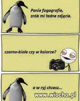 Pytanie i szybka odpowiedź 