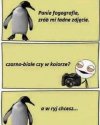 Pytanie i szybka odpowiedź 