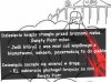 10 księży stanęło przed bramami nieba.