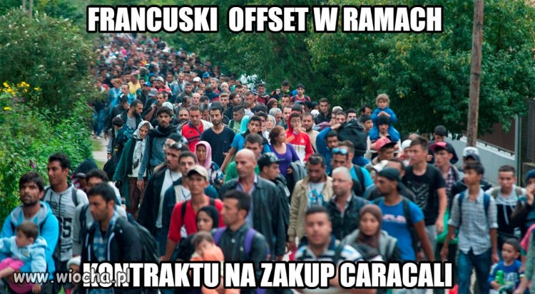 Francuskie inwestycje 