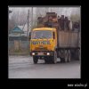 Heavy metal