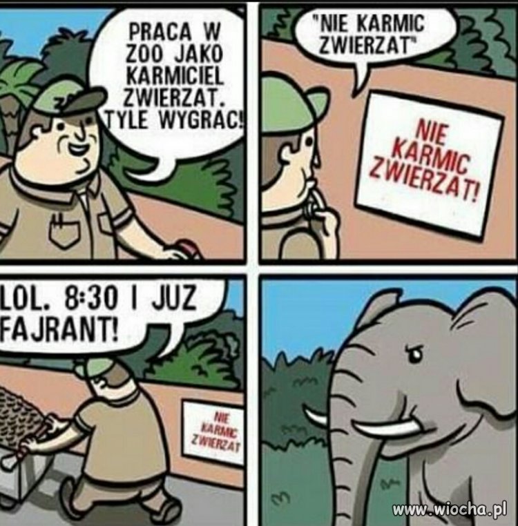 Złota robota...