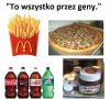Zachodnie geny otyłości