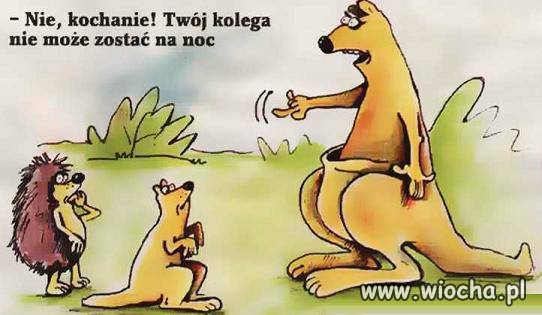 Starannie dobieraj kolegów