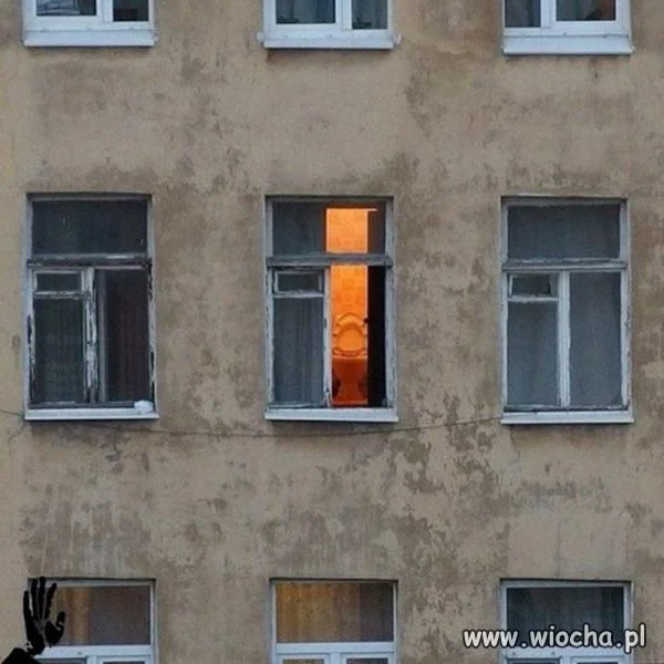 Kibelek z widokiem