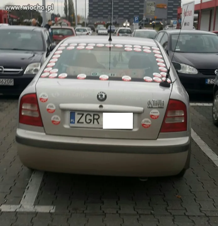 Gryfino...
